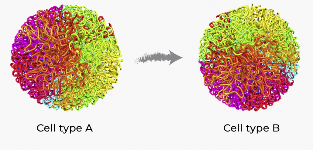 Topic 1 – Thomas-Graf-Lab.com